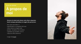 Blogueur Voyage – Modèles De Conception De Sites Web