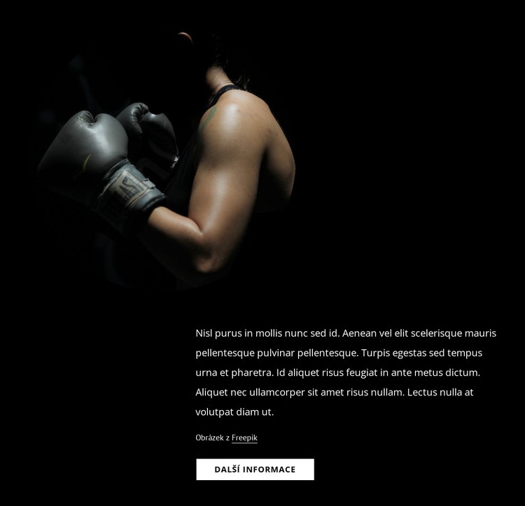 Ženský kickbox Šablona CSS