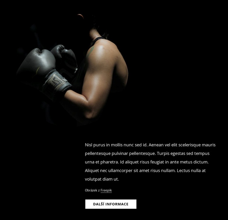 Ženský kickbox Šablona HTML