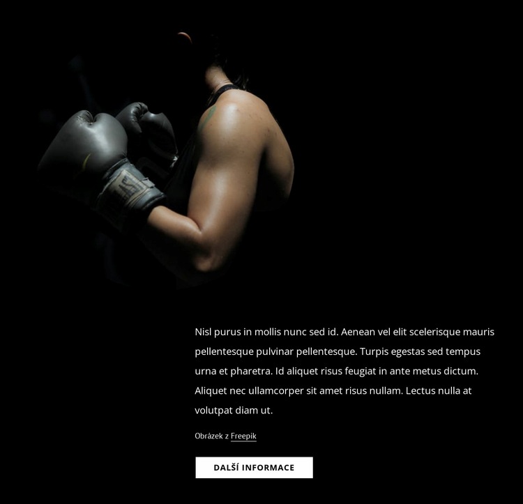 Ženský kickbox Šablona webové stránky