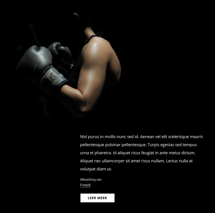 Vrouwelijk kickboksen Joomla-sjabloon