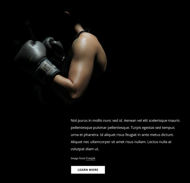 Kvinnlig kickboxning Html webbplatsbyggare