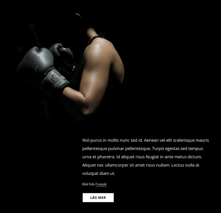 Kvinnlig kickboxning Webbplats mall