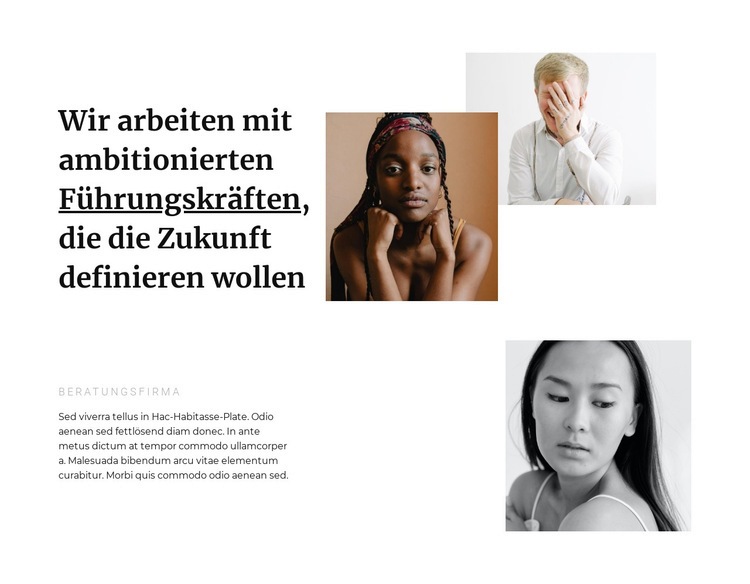 Schöne Führer Website-Modell