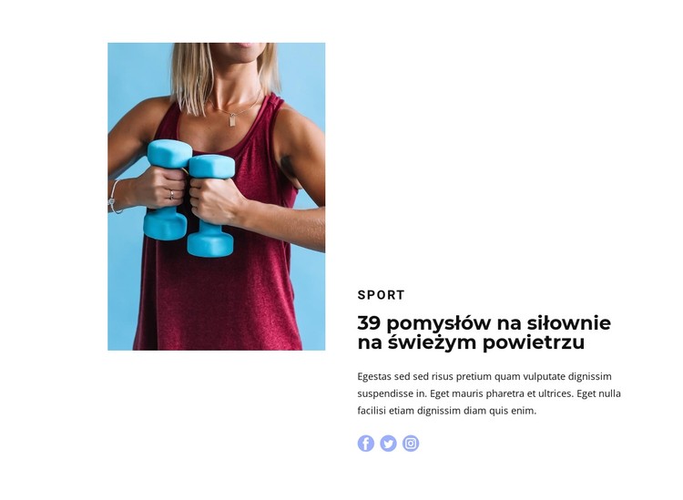 Lekka sprawność Szablon CSS