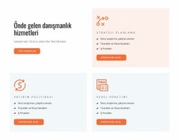 Danışmanlık Ve Koçluk Hizmetleri - Web Sitesi Şablonları