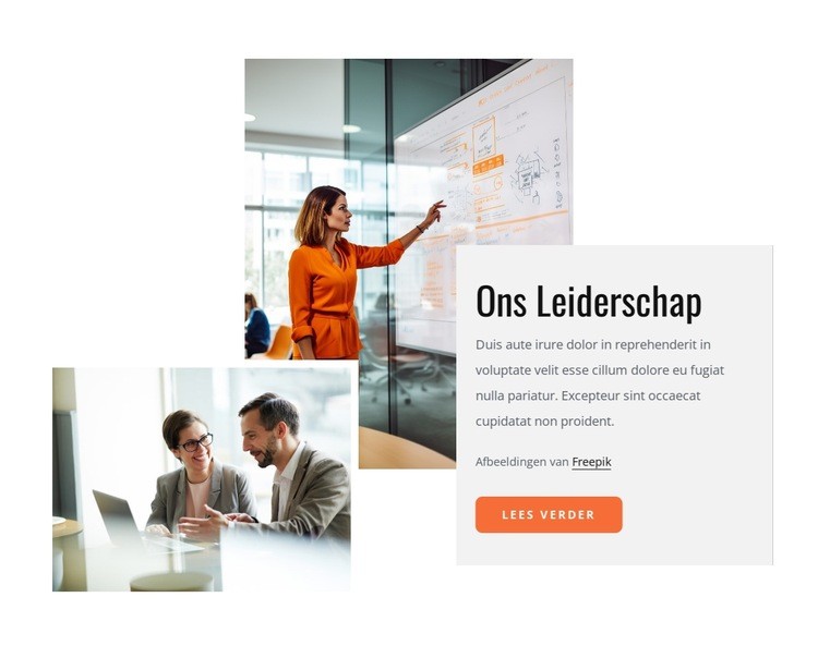 Het leiderschap, de cultuur en capaciteiten Html Website Builder