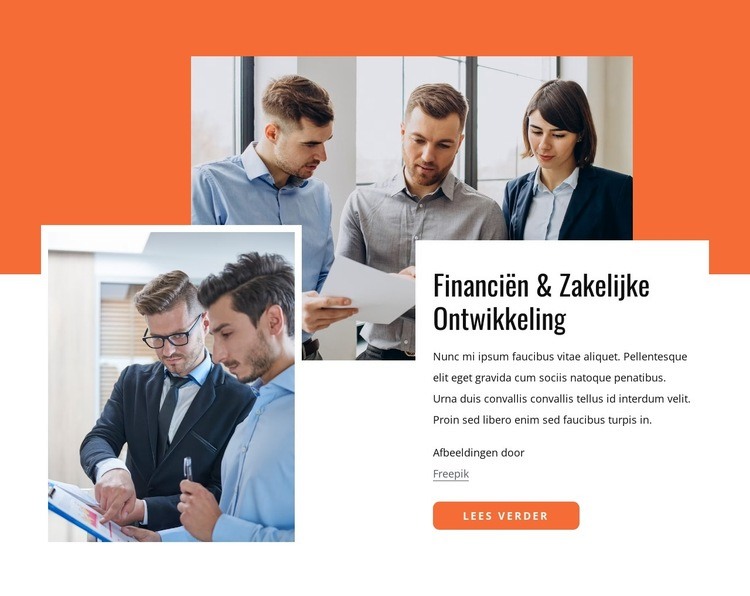 Financiën en bedrijfsontwikkeling Website ontwerp