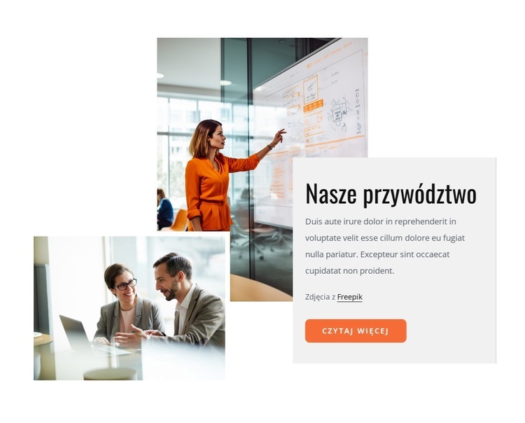 Przywództwo, kultura i możliwości Projekt strony internetowej