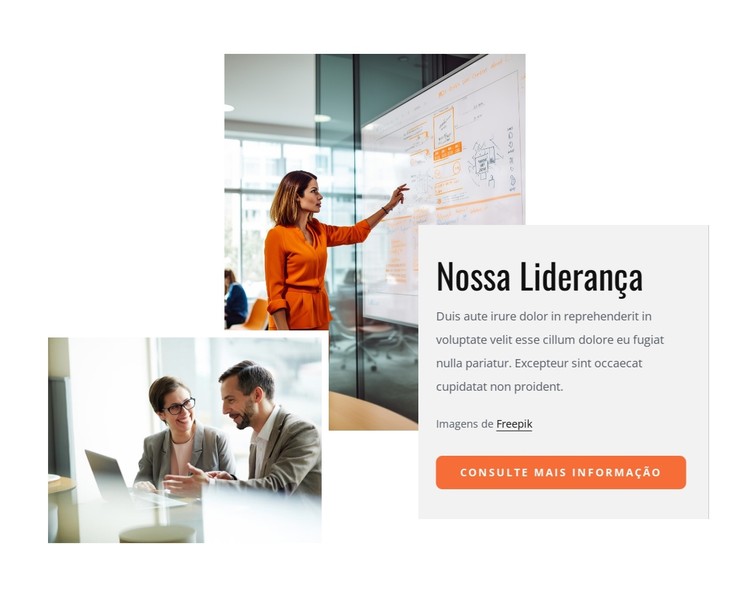 A liderança, a cultura e as capacidades Template CSS