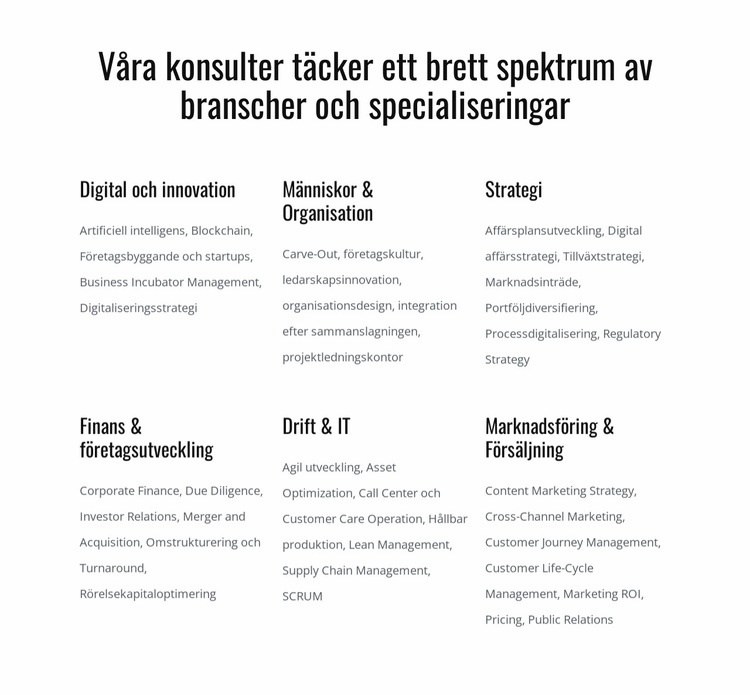 ЗуMänniskor och organisation WordPress -tema