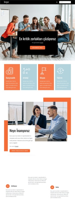 Müşterilerin Karmaşık Iş Sorunlarını Çözmelerine Yardımcı Oluyoruz - WordPress Teması