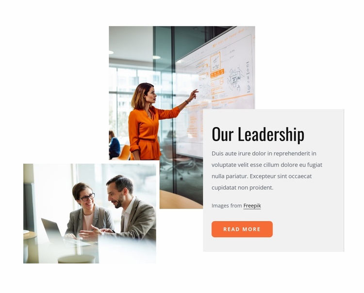 The leadership, culture and capabilities Website Template