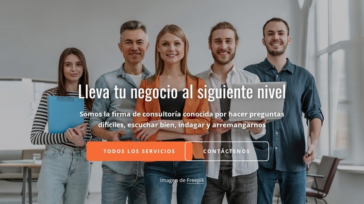 Expertos y consultores Plantilla de sitio web