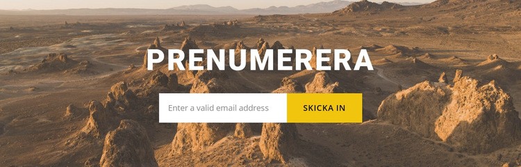 Prenumerera på resenyheter WordPress -tema