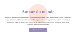 Thème WordPress Premium Pour Texte Et Forme