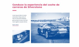 Experiencia De Autos De Carrera - Creador De Sitios Web Moderno