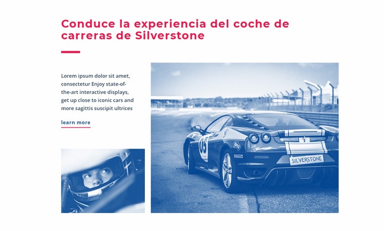 Experiencia de autos de carrera Diseño de páginas web