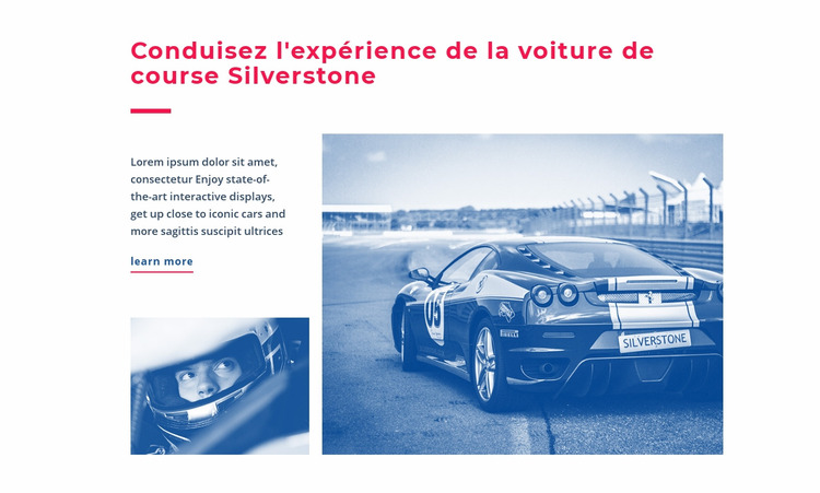 Expérience de voiture de course Modèle Joomla