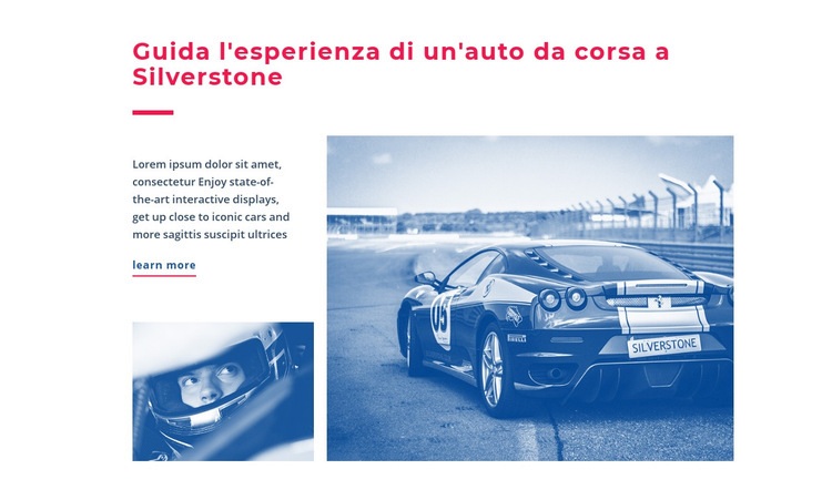 Esperienza di auto da corsa Progettazione di siti web