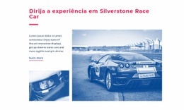 Experiência De Carro De Corrida - Melhor Design De Site