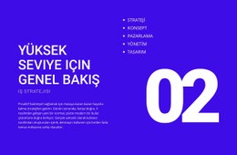 Üst Düzey Genel Bakışlar Için Şablon