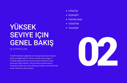 Üst Düzey Genel Bakışlar Için Için En Iyi WordPress Teması