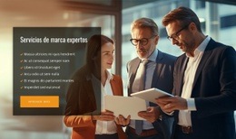 Servicios De Consultoría De Expertos - Creador Del Sitio Web