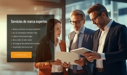 Servicios De Consultoría De Expertos