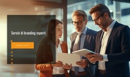 Servizi Di Consulenza Esperta Modello CSS Di Base
