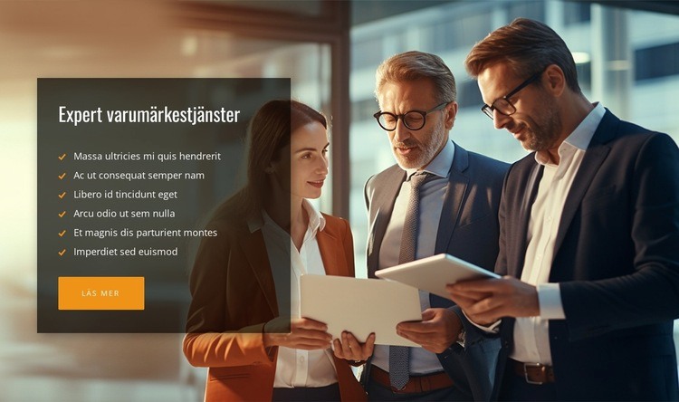 Expertkonsulttjänster HTML-mall