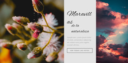 Maravillas De La Naturaleza