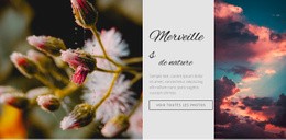 Merveilles De La Nature - Conception De Sites Web De Téléchargement Gratuit