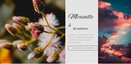Modèle D'Une Page Le Plus Créatif Pour Merveilles De La Nature