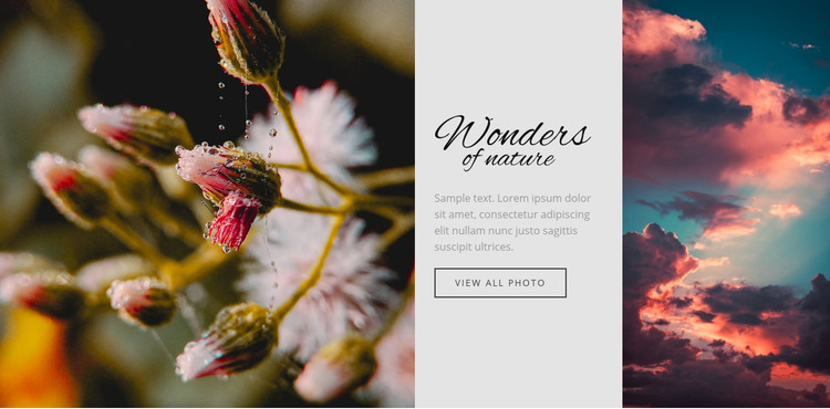 Wonders of nature Homepage Design