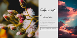 Meraviglie Della Natura - Modello WordPress