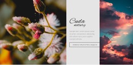 Cuda Natury Prosty Szablon HTML CSS