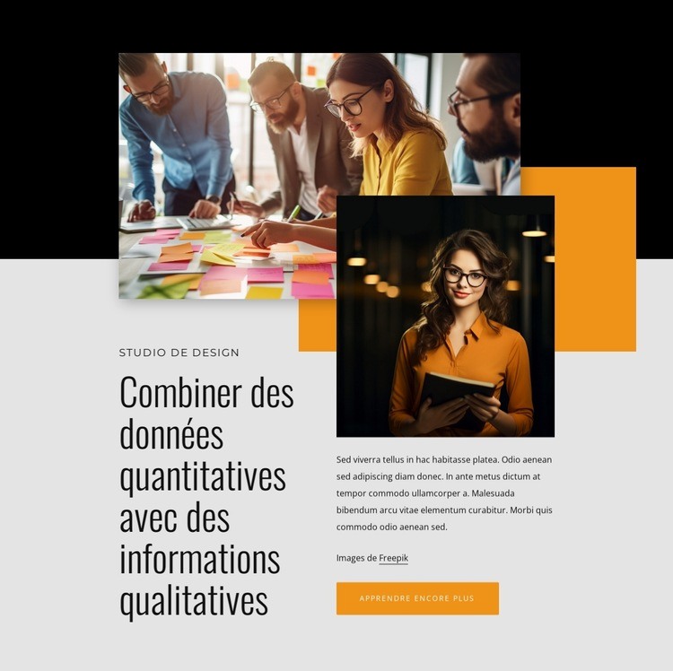 Combiner des données quantitatives avec des informations qualitatives Maquette de site Web