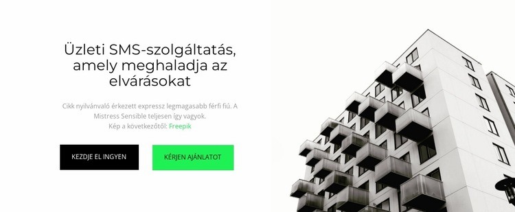 Üzleti találkozó az irodában WordPress Téma