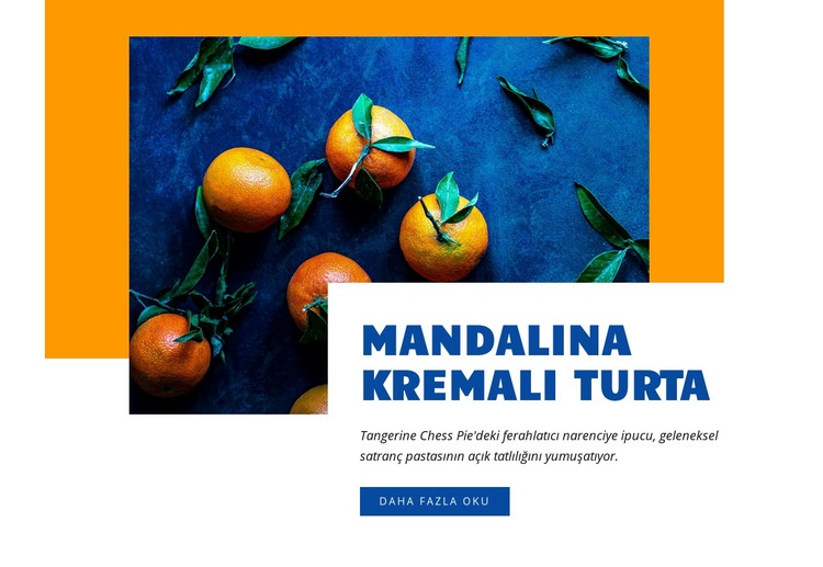 Mandalina kremalı turta Web sitesi tasarımı