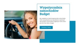 Ekskluzywna Strona Docelowa Dla Wypożyczalnia Samochodów Budget