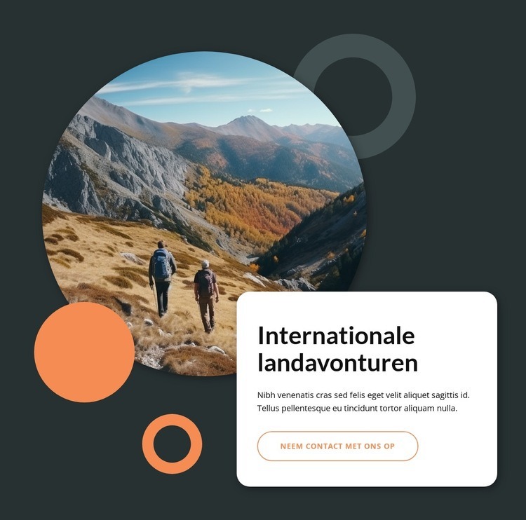 Internationale landavonturen Website ontwerp