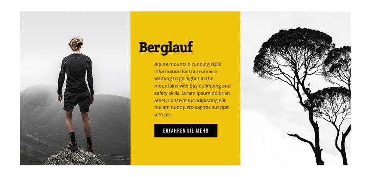 Reise Berglauf Website design