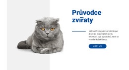 Zdarma HTML Pro Průvodce Mazlíčky