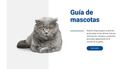 Diseñador De Sitios Web Para Guía De Mascotas