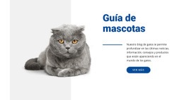 Guía De Mascotas - Diseño De Funcionalidad