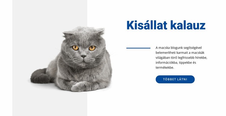 Kisállatvezető Weboldal sablon