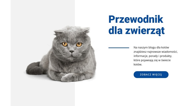 Przewodnik dla zwierząt Motyw WordPress