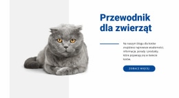 Przewodnik Dla Zwierząt - Projekt Funkcjonalności