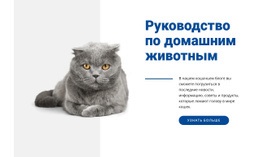 Путеводитель По Домашним Животным – Адаптивный Макет